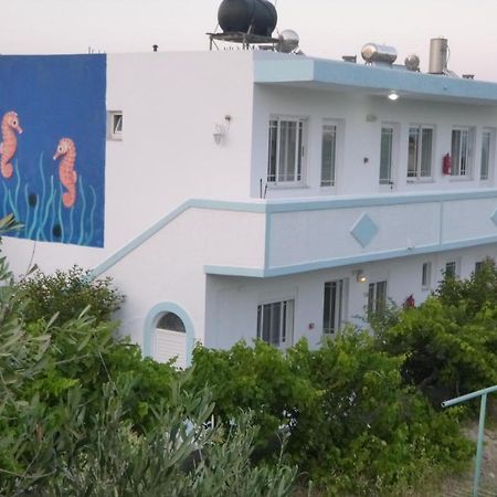 Ipokampos Apartment Kefalos  Exterior photo